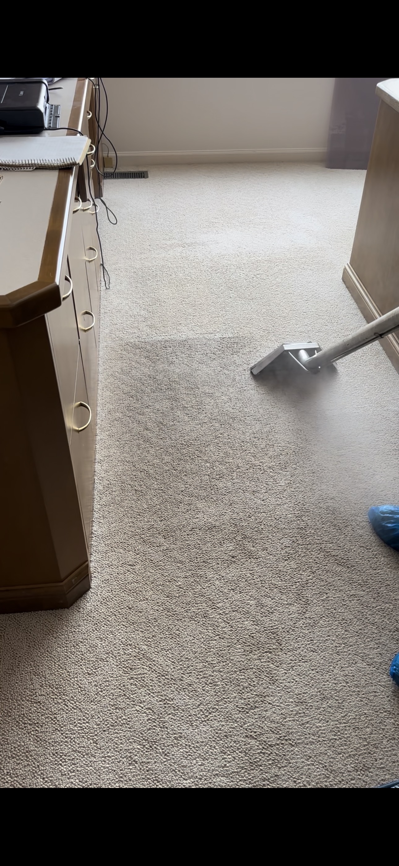 Clean beautiful rug in modern home steam clean